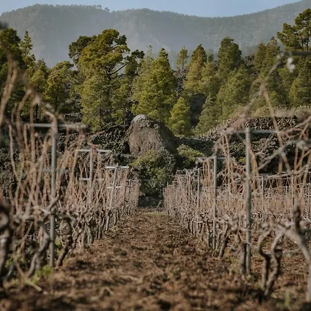 Ecológica Ferrera. Rural. Arafo