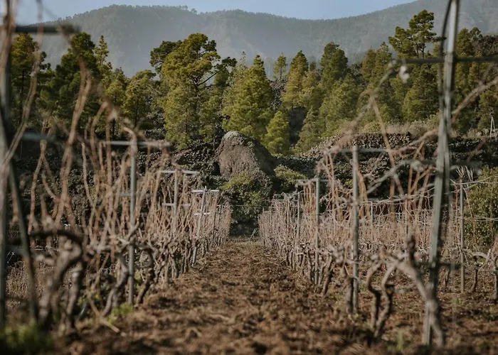 Ecológica Ferrera. Rural. Arafo